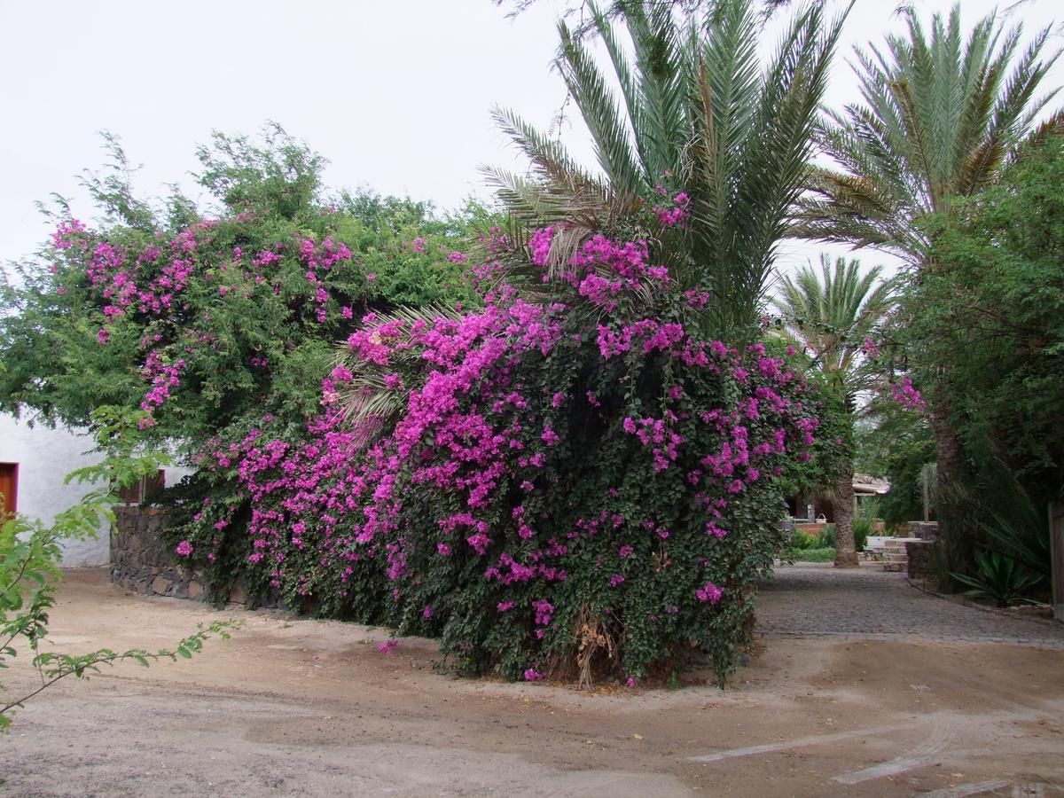 Villa Morabeza Guest House Mindelo Dış mekan fotoğraf